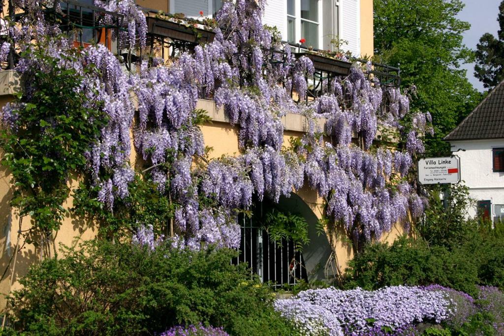 Villa Linke am Bodensee Nonnenhorn Esterno foto