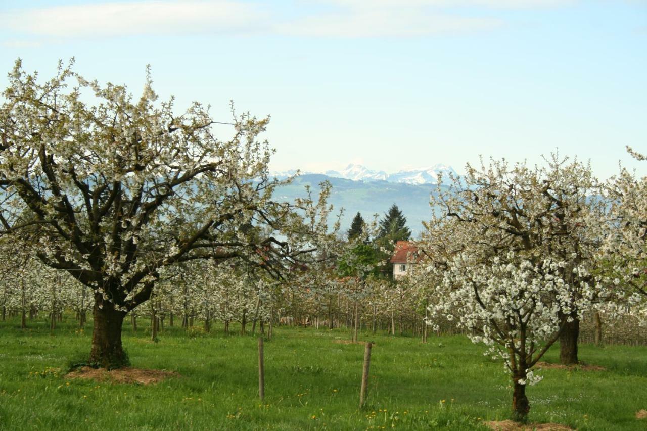 Villa Linke am Bodensee Nonnenhorn Esterno foto